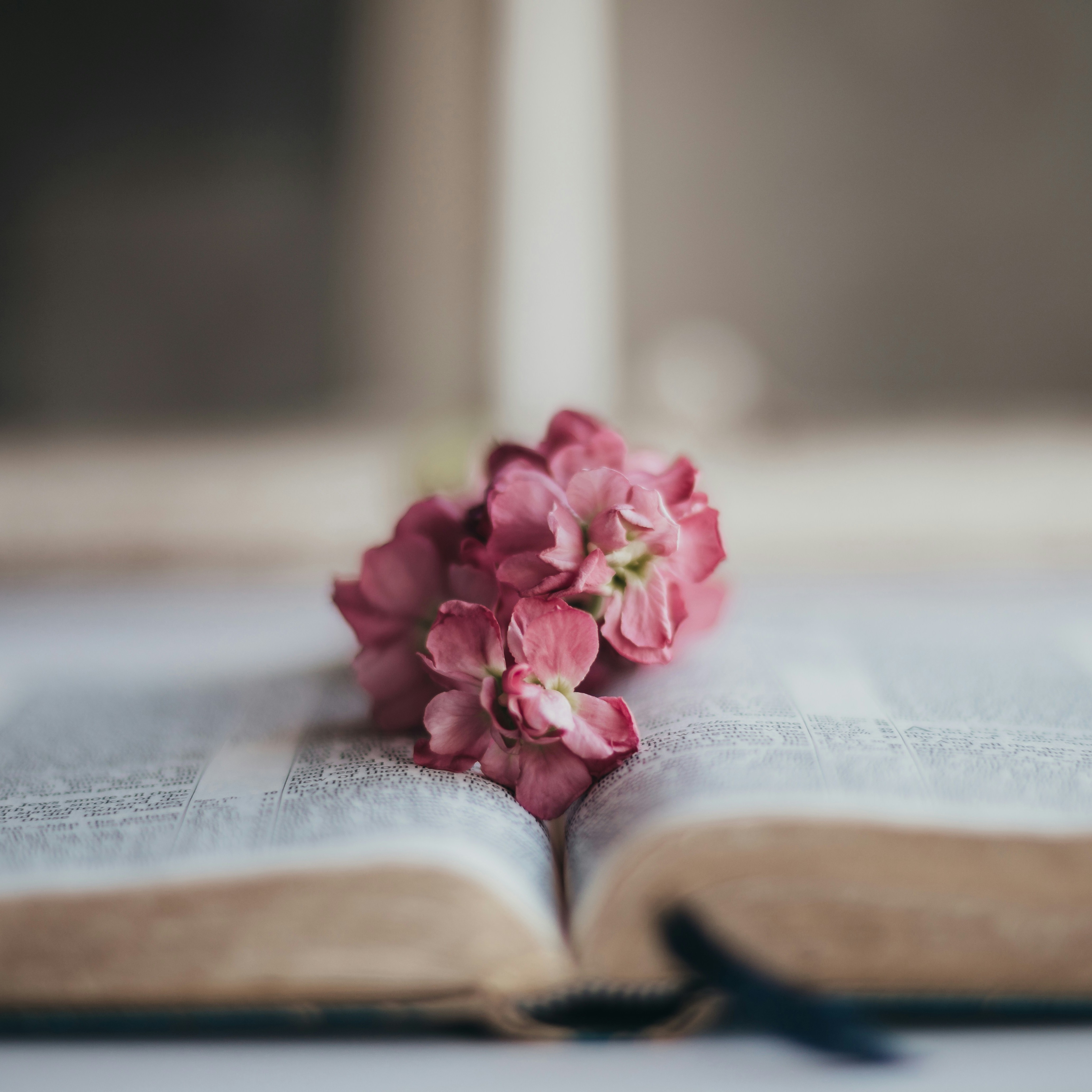 アドバイザー認定